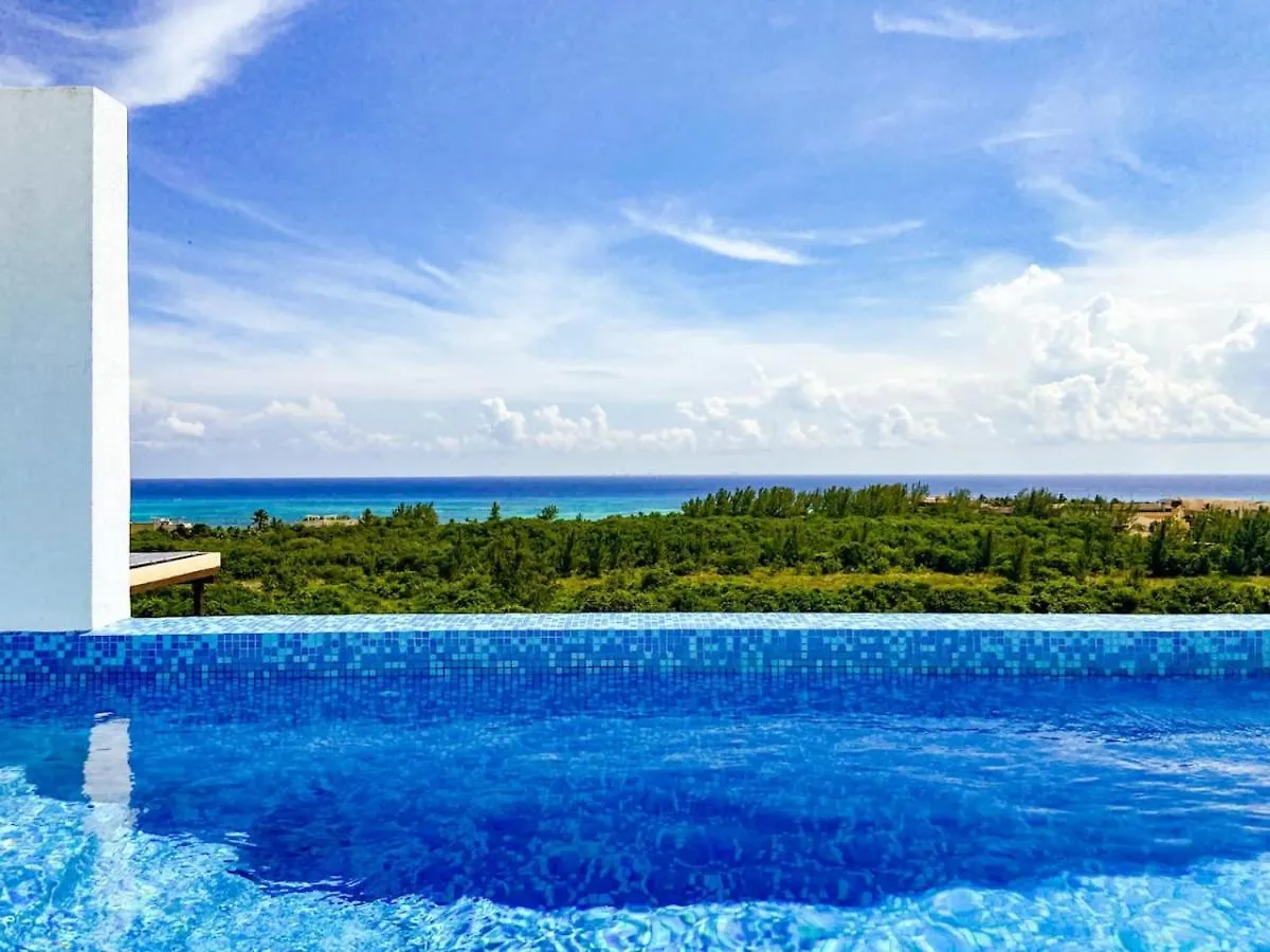 Shiny Studio On 5Th Ave With Pool And Gym Steps To Beach Playa del Carmen 0*,  Mexiko