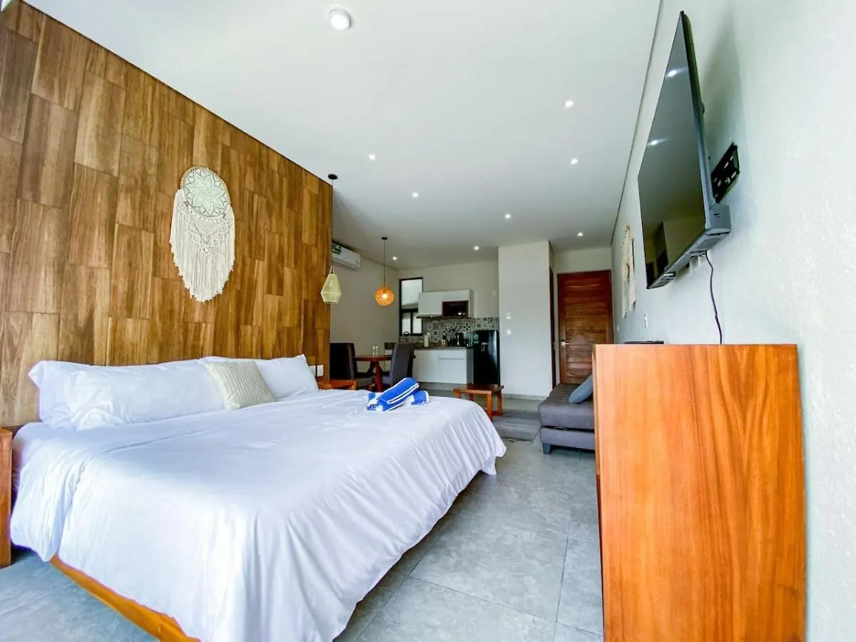 Shiny Studio On 5Th Ave With Pool And Gym Steps To Beach Playa del Carmen