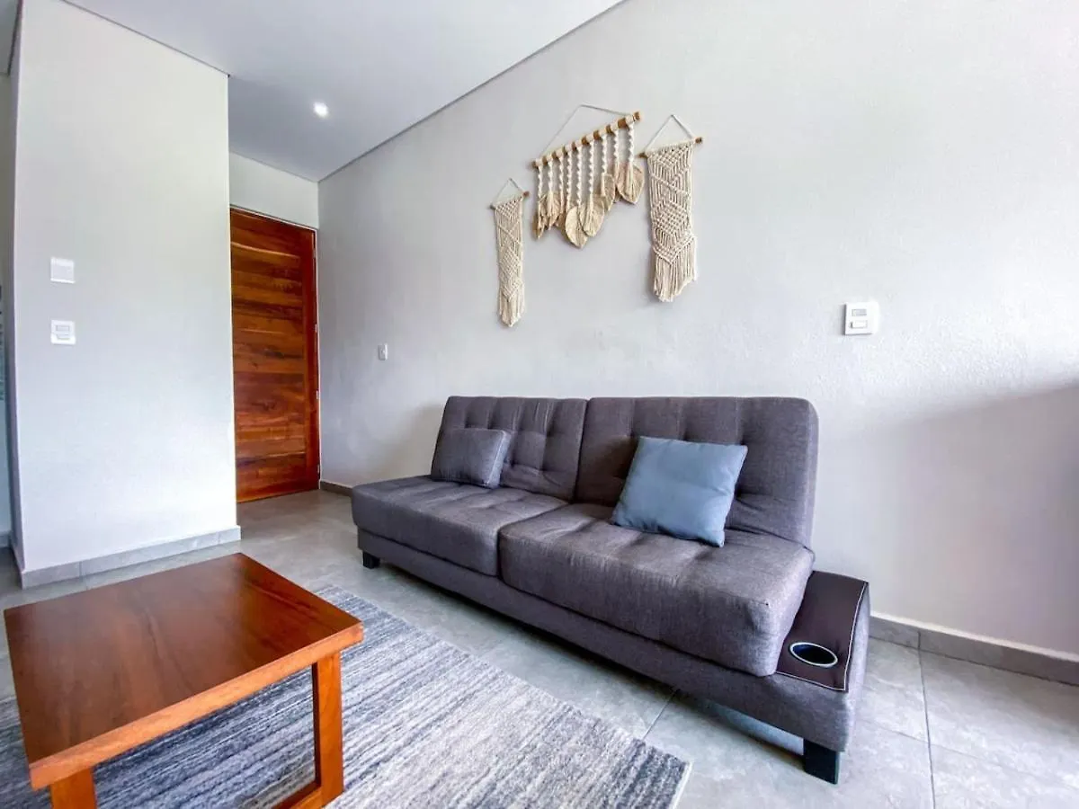Shiny Studio On 5Th Ave With Pool And Gym Steps To Beach Playa del Carmen